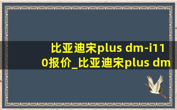 比亚迪宋plus dm-i110报价_比亚迪宋plus dm-i110公里几度电